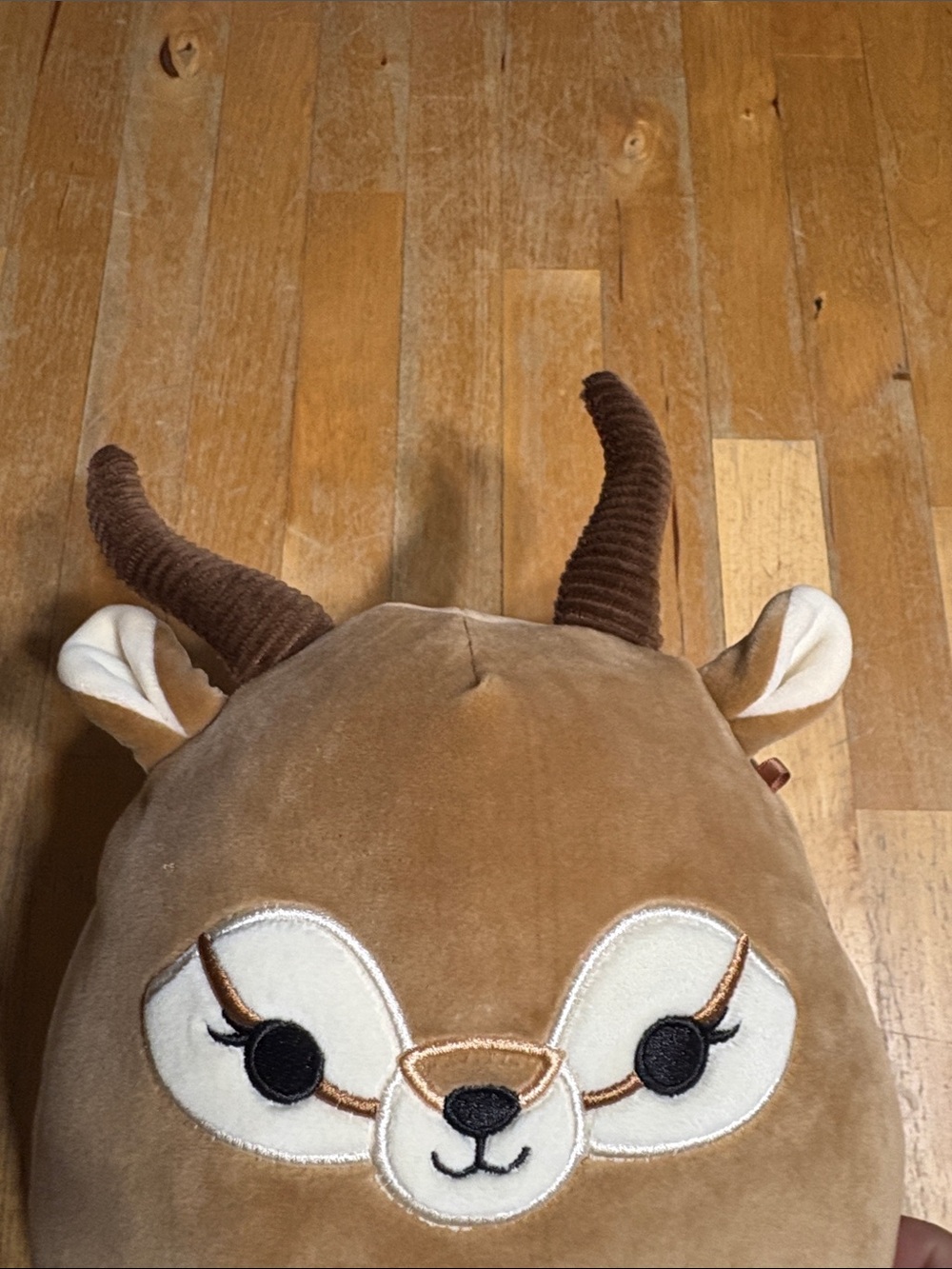 Squishmallows 8” Adila the Antelope - Picture 2 of 6